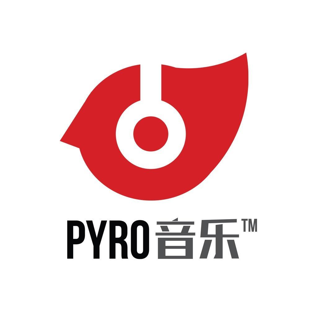PYRO音乐招聘-上海湃热网络科技有限公司招聘