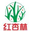红杏林 西藏光通信工程师招聘+红杏林