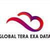 GTED-X