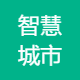 智慧城市发展研究院