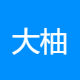 大柚科技