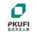 北大方正