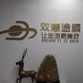 双意途顺汽车租赁