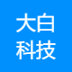 大白科技