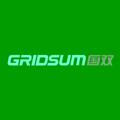 Gridsum 国双