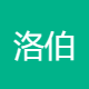 洛伯营销咨询