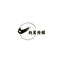 向星传媒