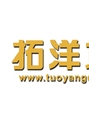 拓洋地产