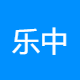 乐中控股