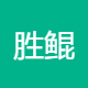 胜鲲网络