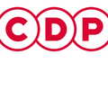 CDP集团