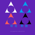 软龙科技