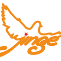 江苏金鸽