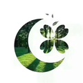 绿城置换