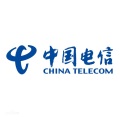 中国电信股份有限公司数字智能科技分公司