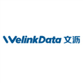 welinkData