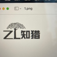 公司logo