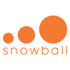 雪球科技logo