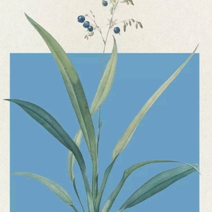 玄卓科技Logo